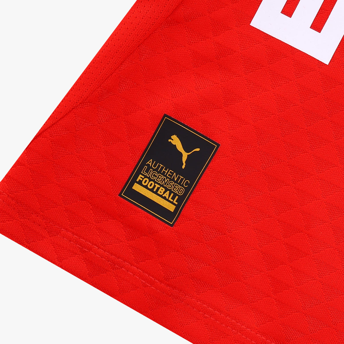 LIGA DE QUITO LDU 2026 FAN MONTH RED JERSEY