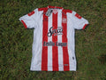 SAN MARTIN DE TUCUMAN ORIGINAL Home JERSEY Size L (Like M), By TDY, BNWT