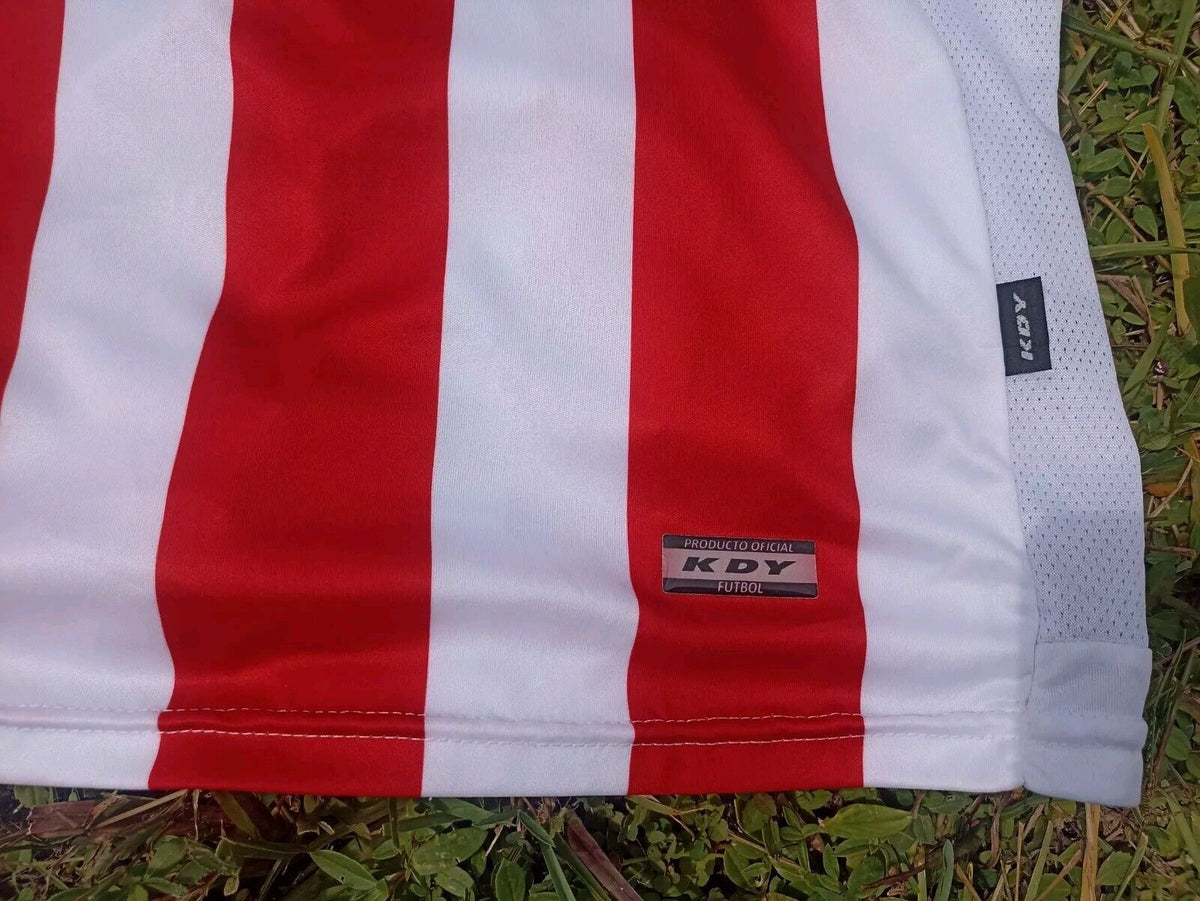 SAN MARTIN DE TUCUMAN ORIGINAL Home JERSEY Size L (Like M), By TDY, BNWT